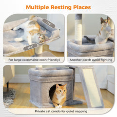 PEQULTI condo privé pour chats: calme et intimité en hauteur
