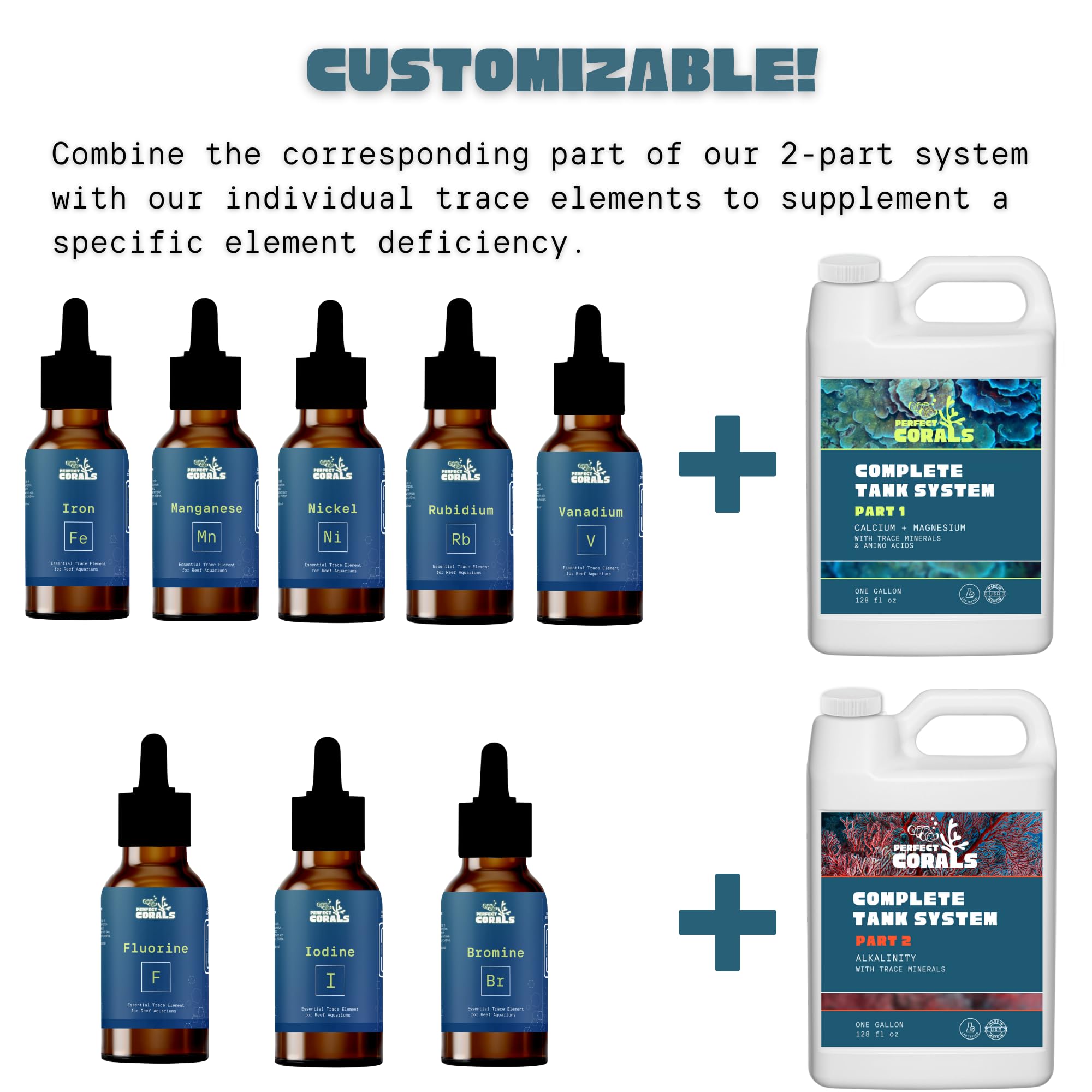 Perfect Corals – soutien enzymatique et métabolique pour les coraux.