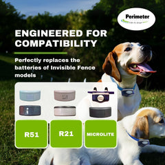 Perimeter Technologies - batterie-invisible-fence-lithium-ion-haute-densité, énergie durable