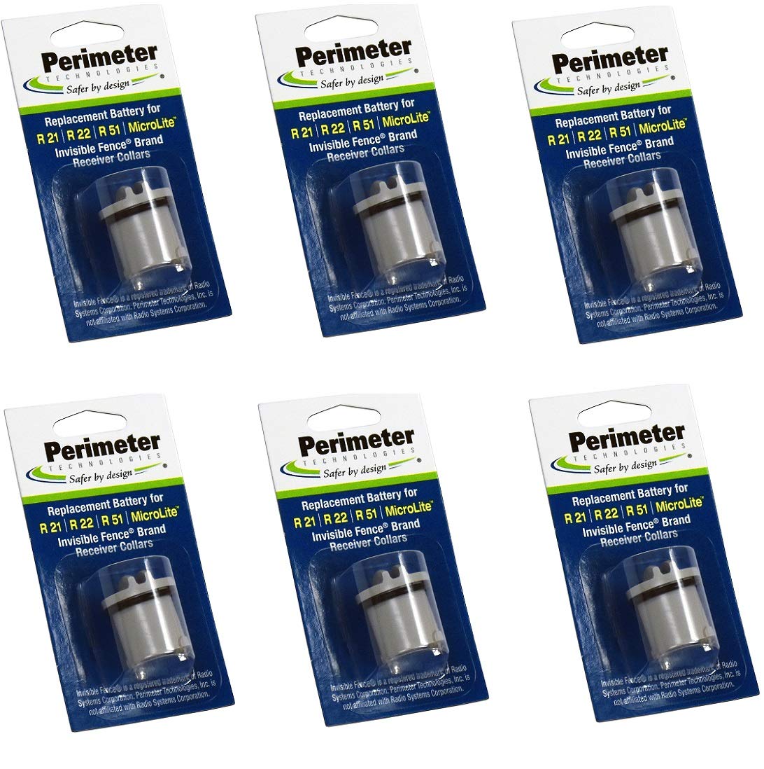 Perimeter Technologies: batteries six-pack pour clôture invisible, énergie fiable.