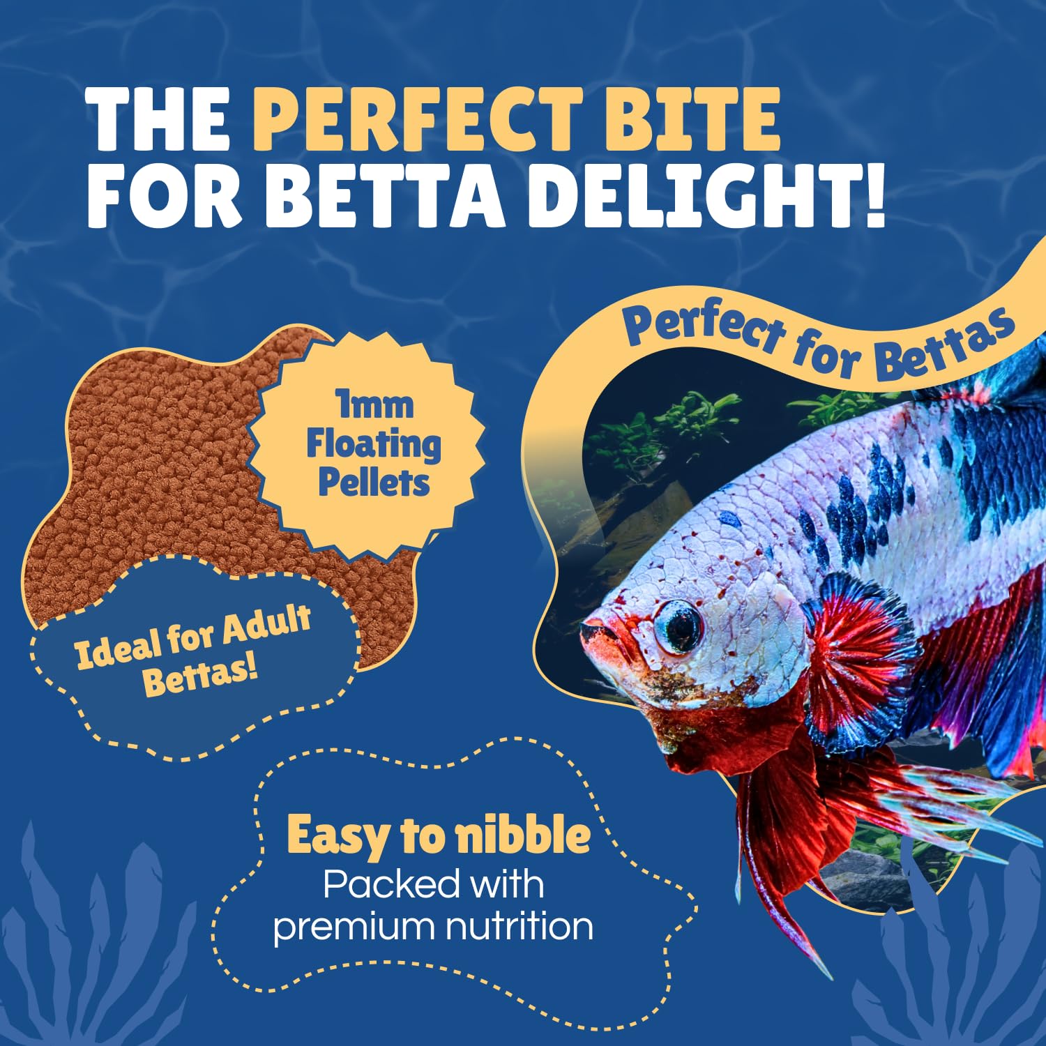 Perky Fins Betta Boost Pops : nourriture d’aquarium d’eau douce adaptée aux bettas.