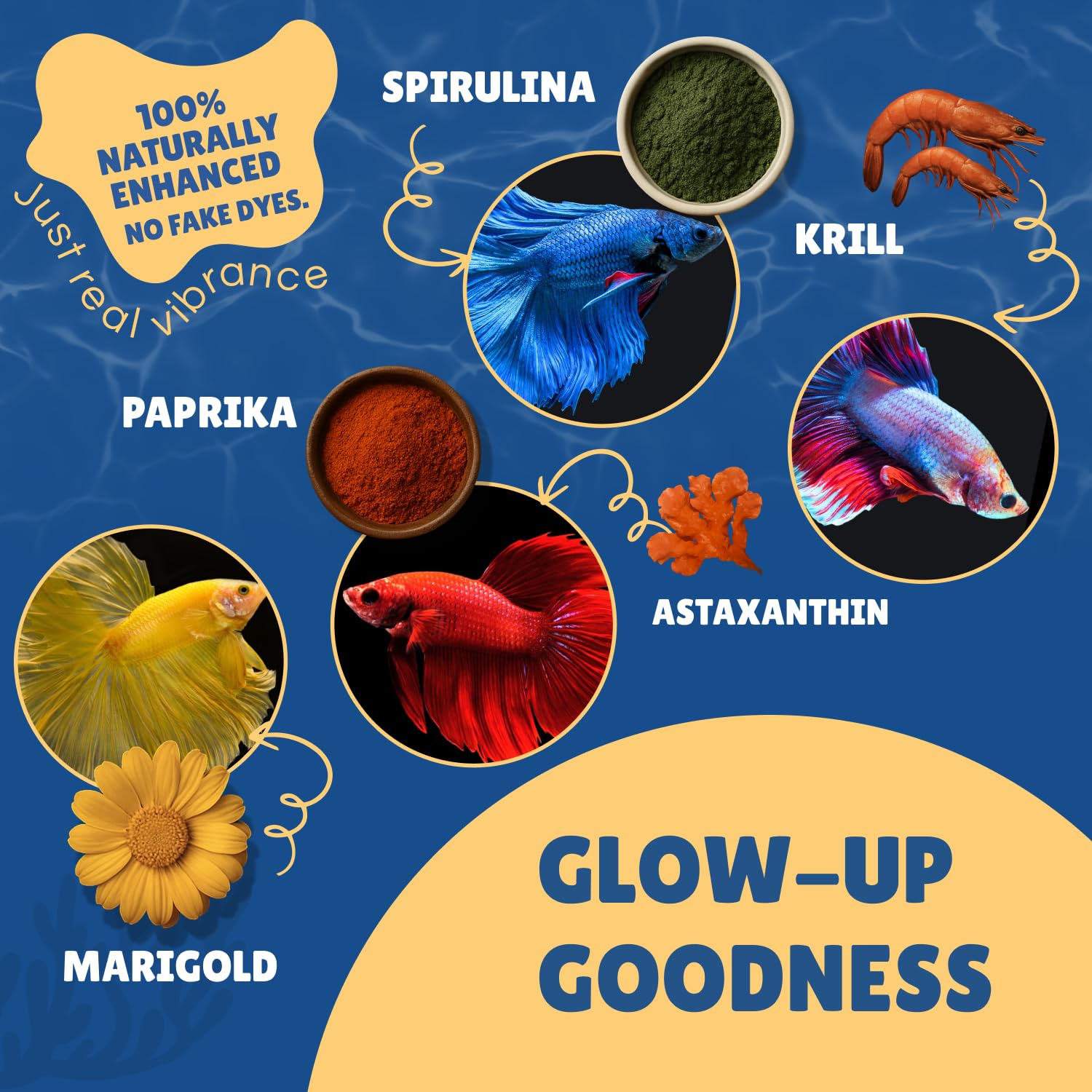 Perky Fins Betta Boost Pops : sans maïs, soja ni pois pour nutrition ciblée.