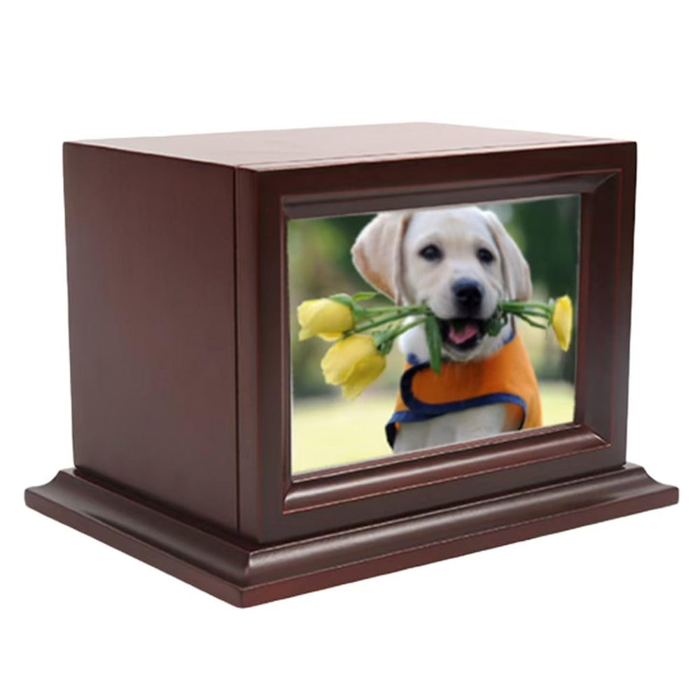 Urne Permulaan en bois pour chat petit avec cadre integre, mémoire durable.