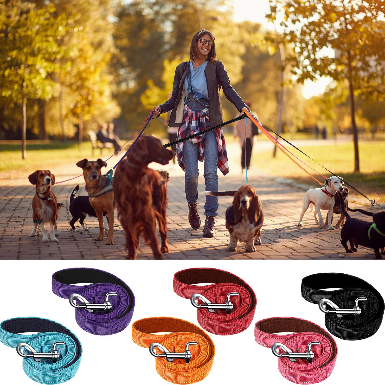 Perthlin: kit de 6 laisses chien pour usages quotidiens et remplacements
