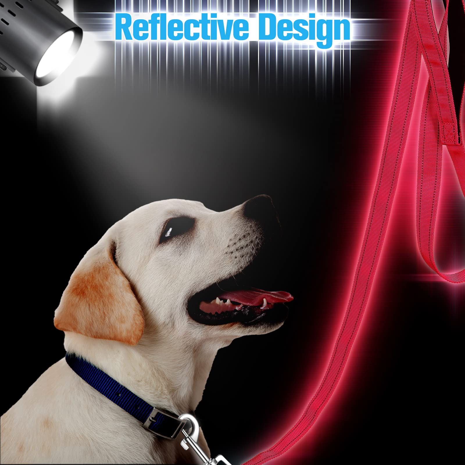 Perthlin: laisse chien design couleurs 6 options pour varier les looks