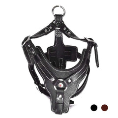 Harnais PESHOUCO en cuir doux pour chien, confort et sécurité.