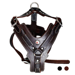 Harnais PESHOUCO en cuir véritable, vue d’ensemble pour confort et durabilité.