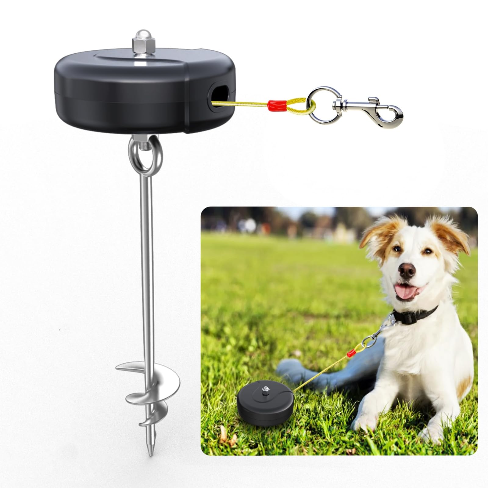 Pestairs câble rétractable 30 pieds offre liberté de mouvement sans nœuds pour chien