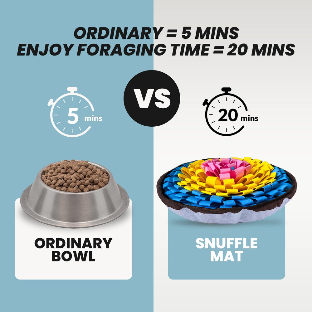 PET ARENA Tapis Snuffle Chien Formation — stimule l’exploration et l’activité mentale.