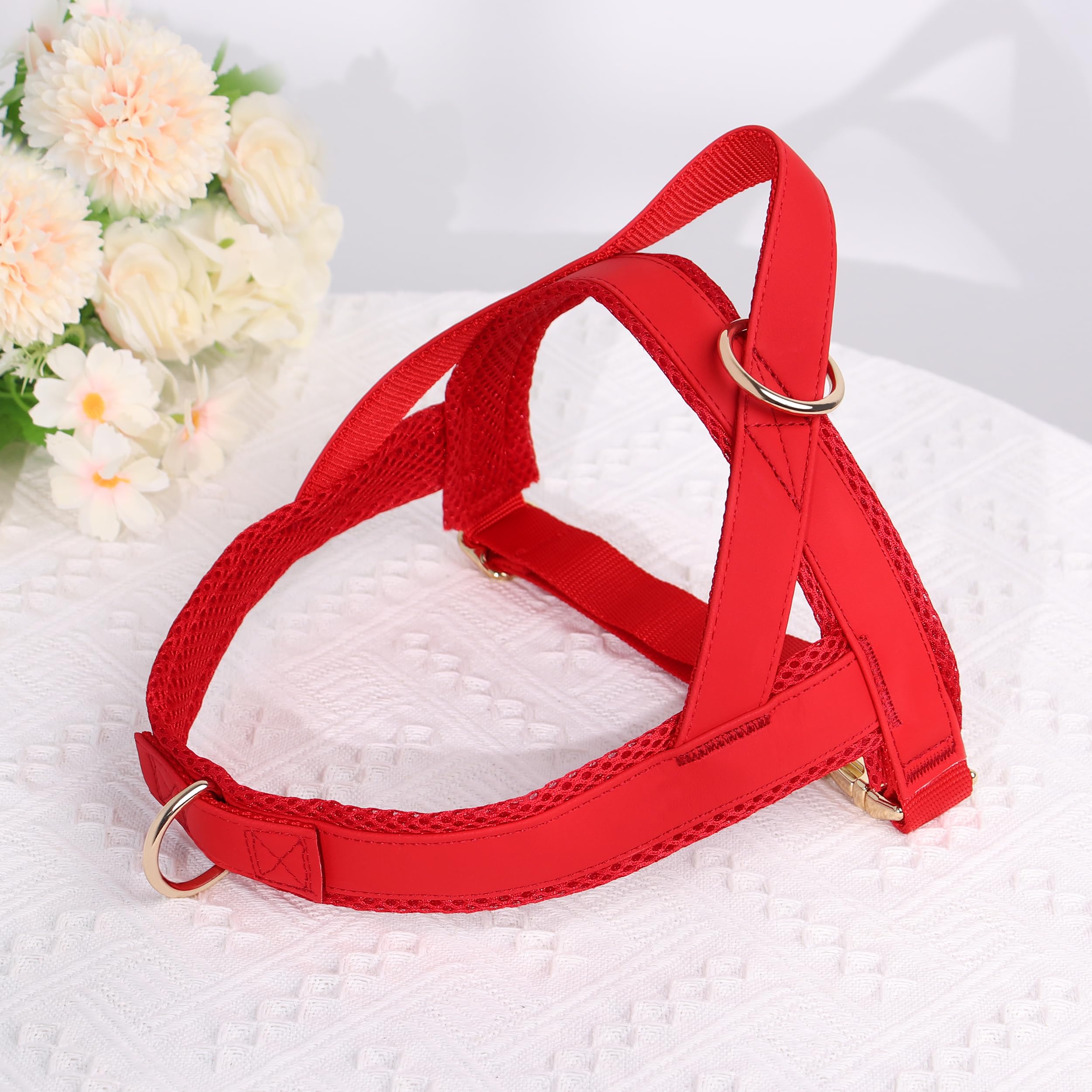 Harnais PET ARTIST apparence stylée et durable pour toutes les sorties.