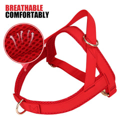 Harnais PET ARTIST avec boucle métallique rapide facilite l'ajustement.