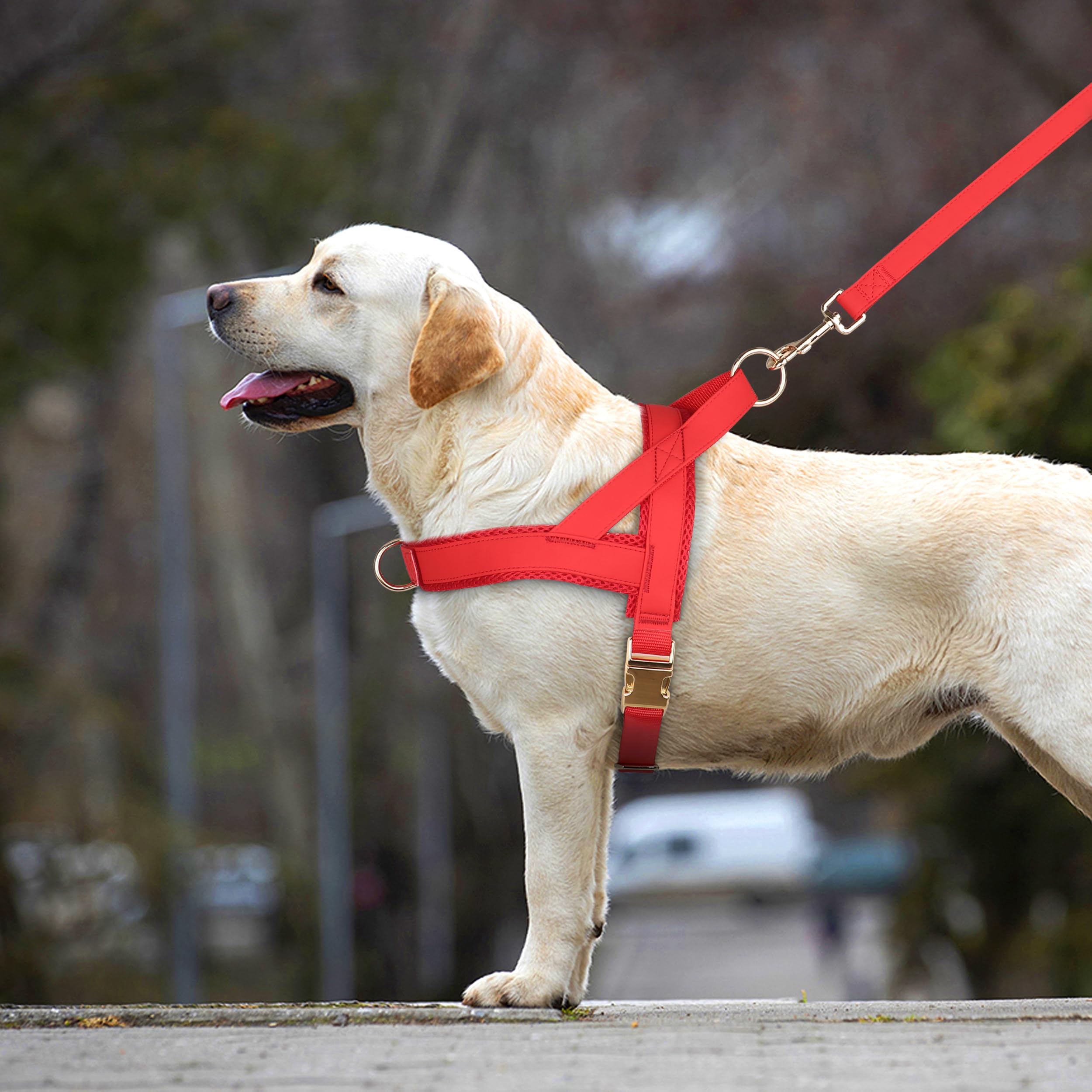 Harnais PET ARTIST en cuir PU doux et durable pour le quotidien.