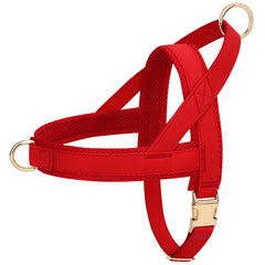 Harnais PET ARTIST sans tirage à l'avant pour des promenades plus confortables.