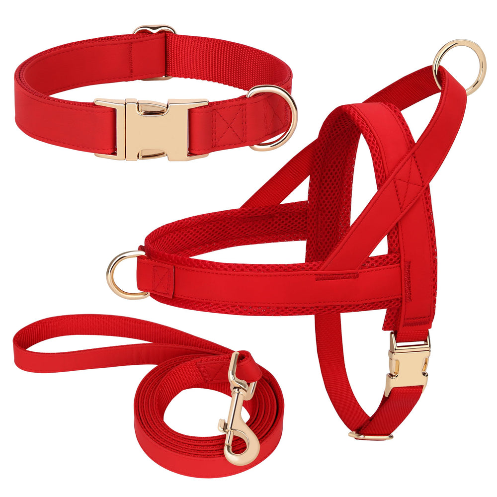 Harnais PET ARTIST pratique pour promenades quotidiennes et entraînement.