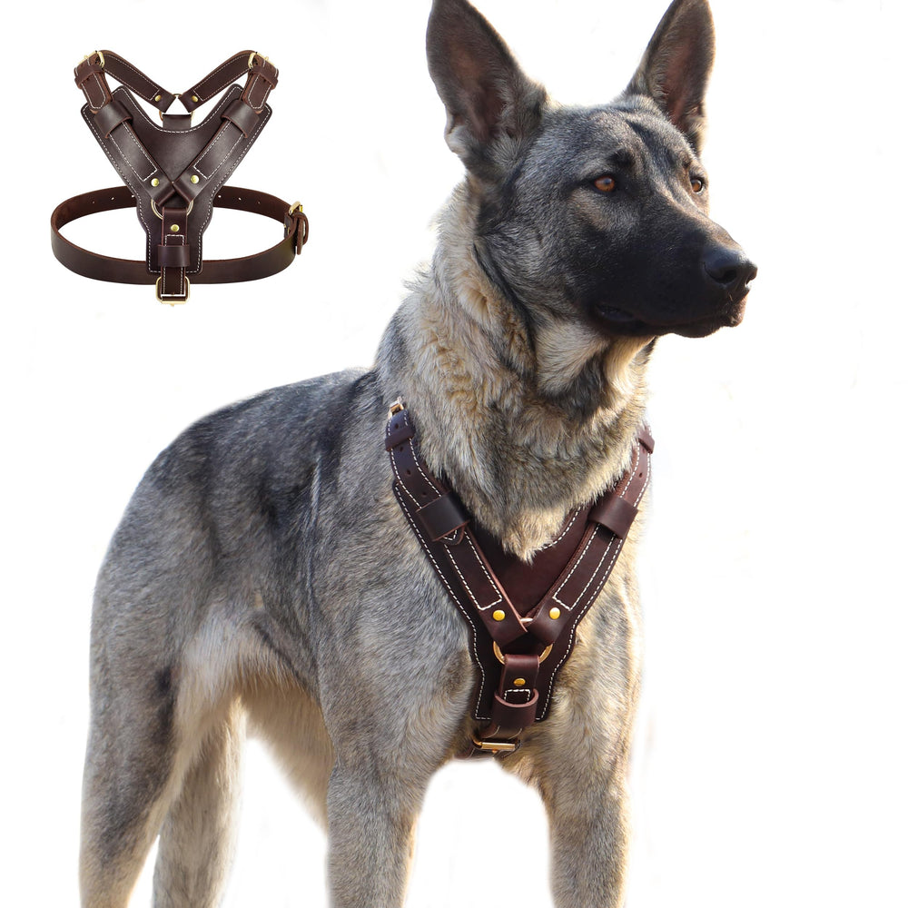 HARNAIS PET ARTIST pour grand chien avec boucles métalliques robustes et sécurité.