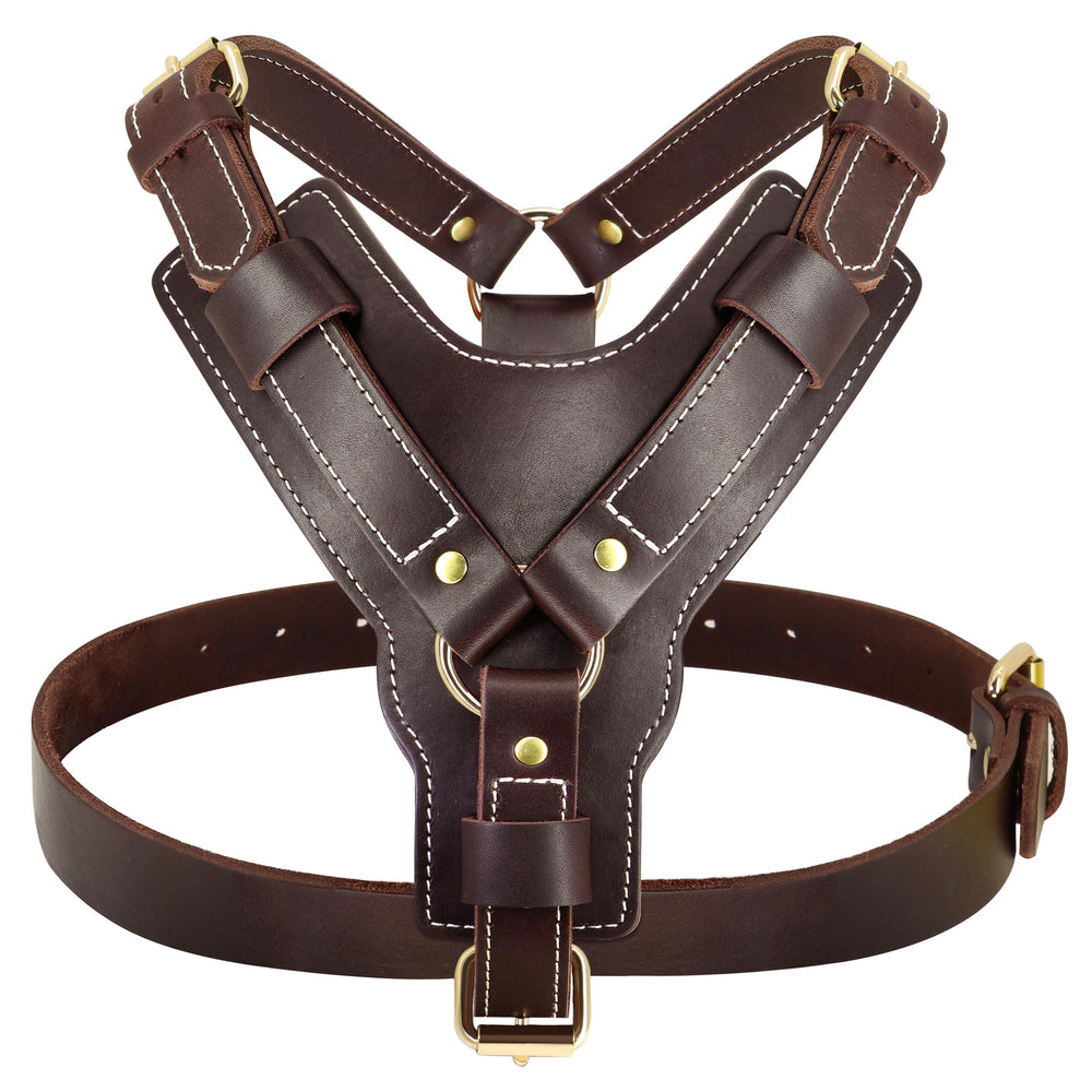 HARNAIS PET ARTIST promenades quotidiennes, confort durable et securite.