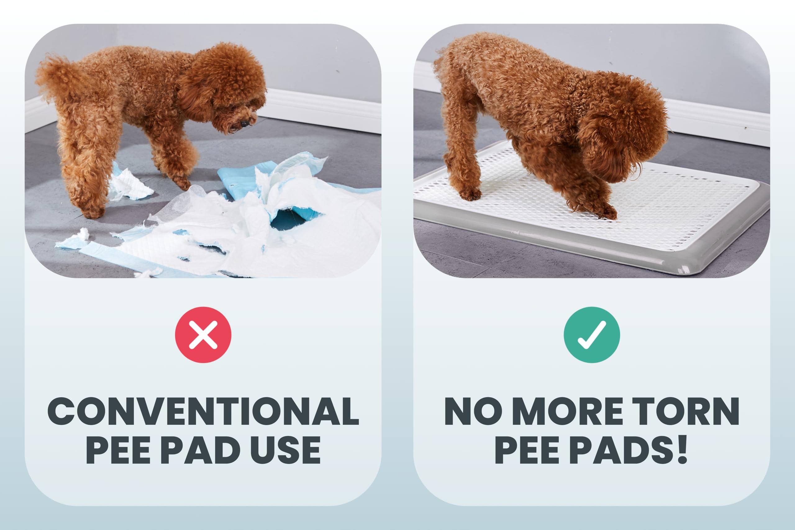 Pet Awesome utilisation-interieure-exterieure, convient pour intérieur et extérieur.
