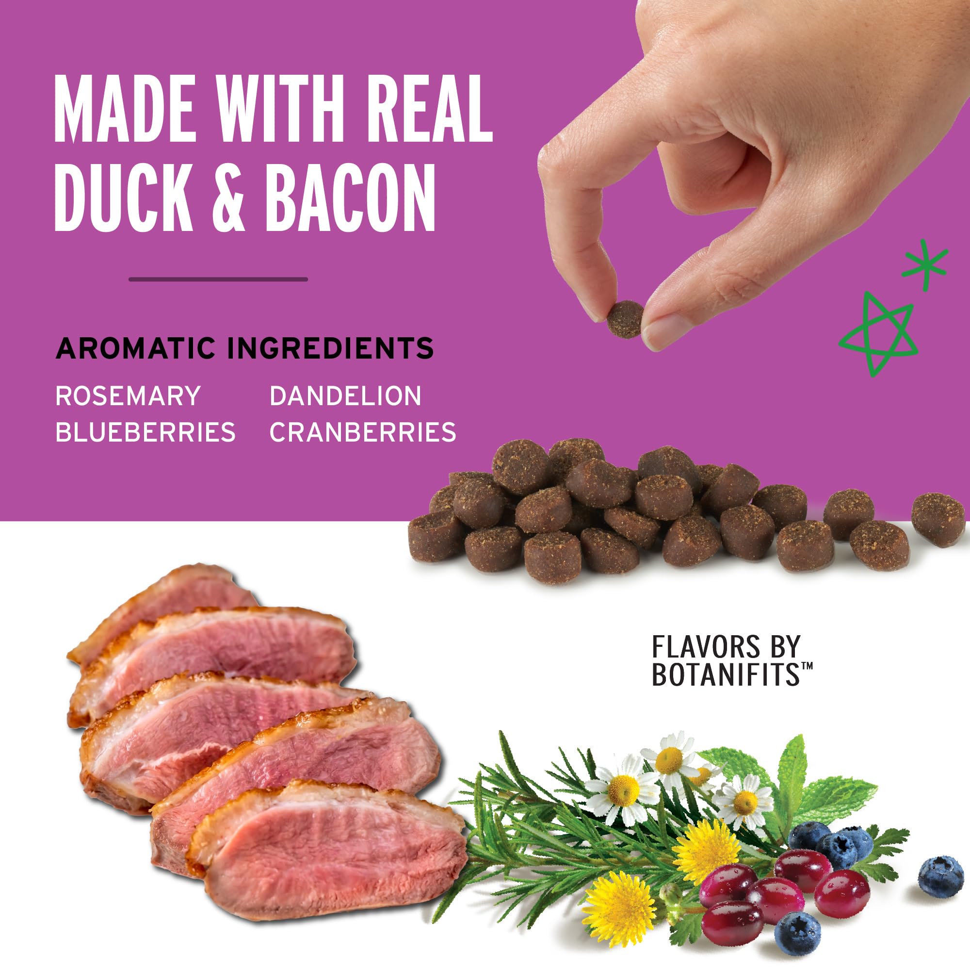 Récompense quotidienne Pet Botanics canard bacon pour chiens attentifs