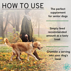 PET CARE Sciences formule quotidienne chien, chanvre et curcuma avec glucosamine et MSM.