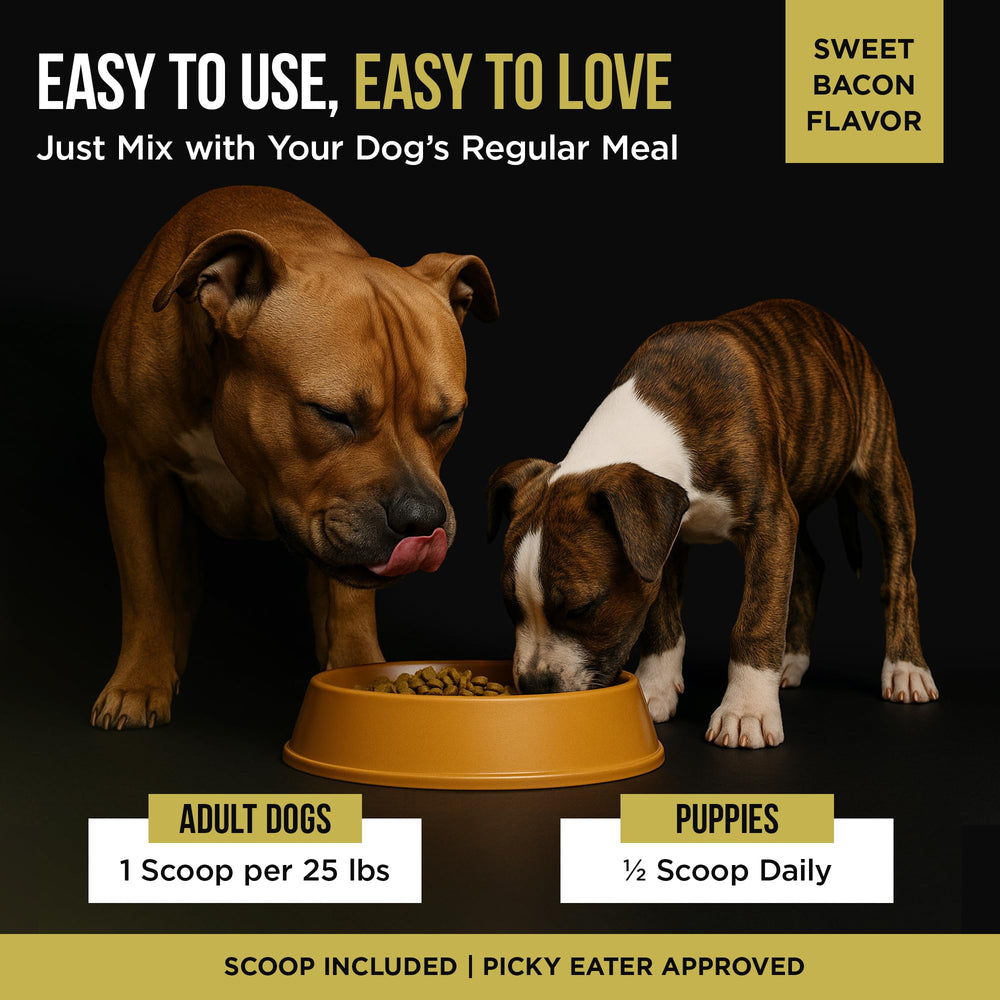 PET CARE Sciences – poudre saveur barbecue boeuf facilement mélangée