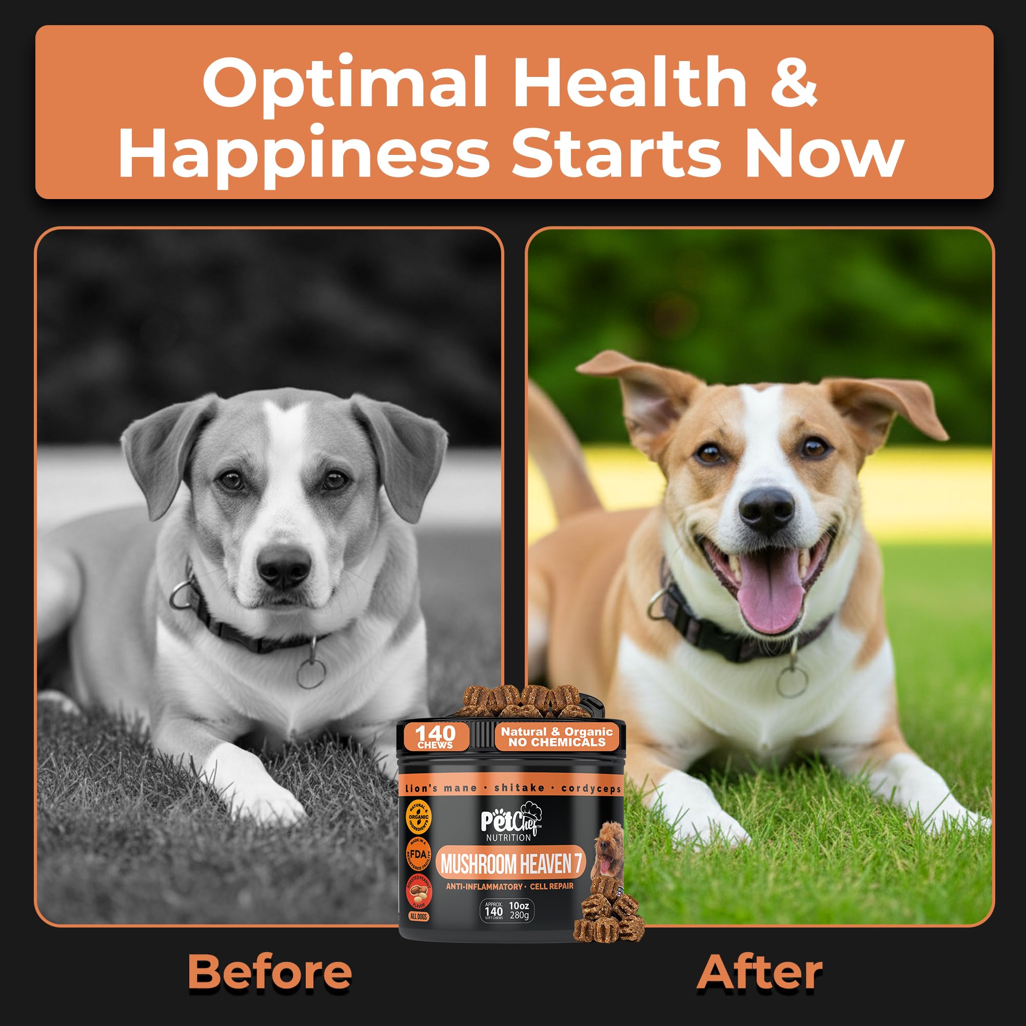 Pet Chef Nutrition: maitake, shiitake et cordyceps, combo gourmet pour chiens actifs.