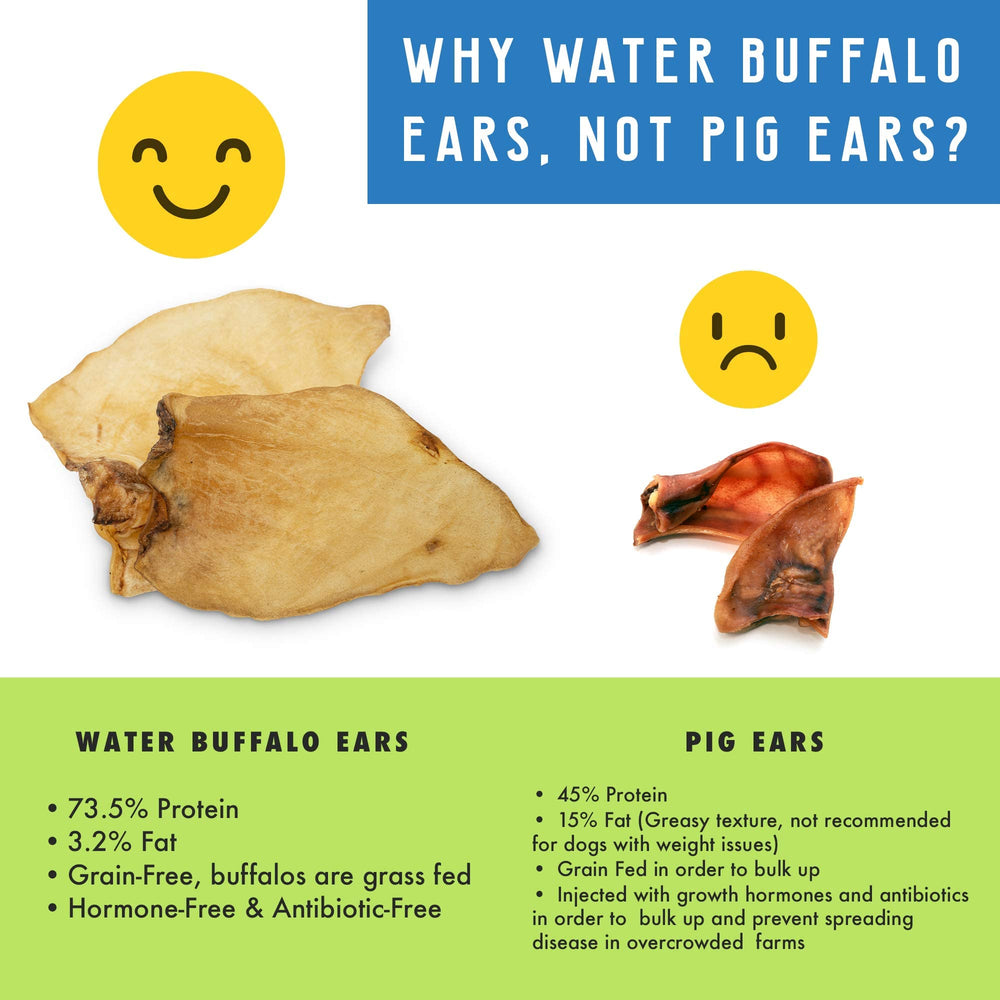 Alternative saine aux oreilles de porc, Pet Craft Supply buffle d'eau.