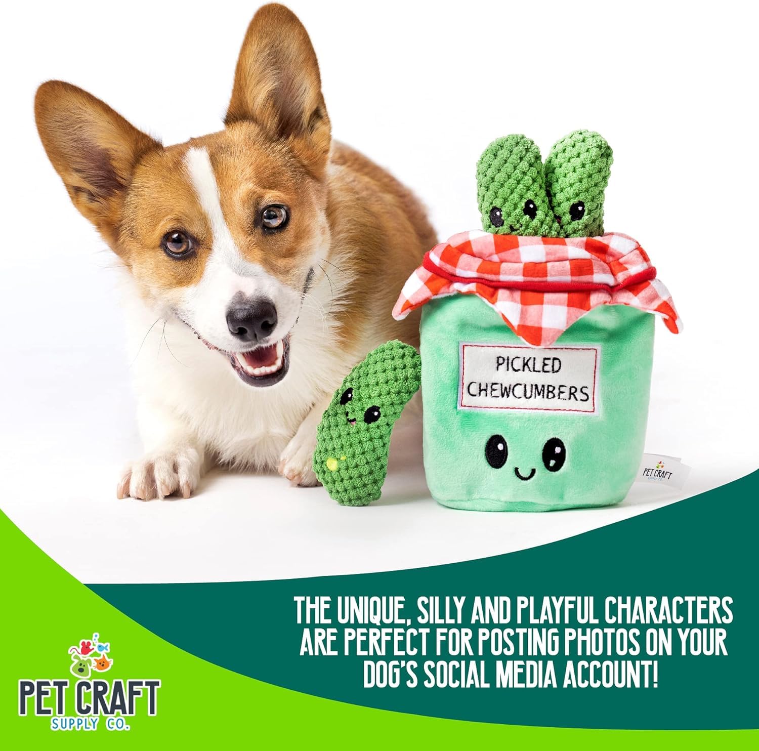 Bocal de 9 pouces – la marque Pet Craft Supply – peluche pour jeu varié et durable.