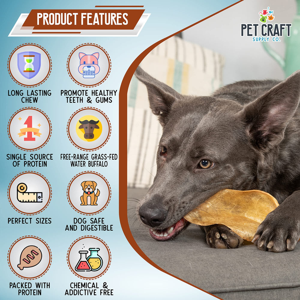Pet Craft Supply buffle d’eau corne: texture robuste pour mâcher
