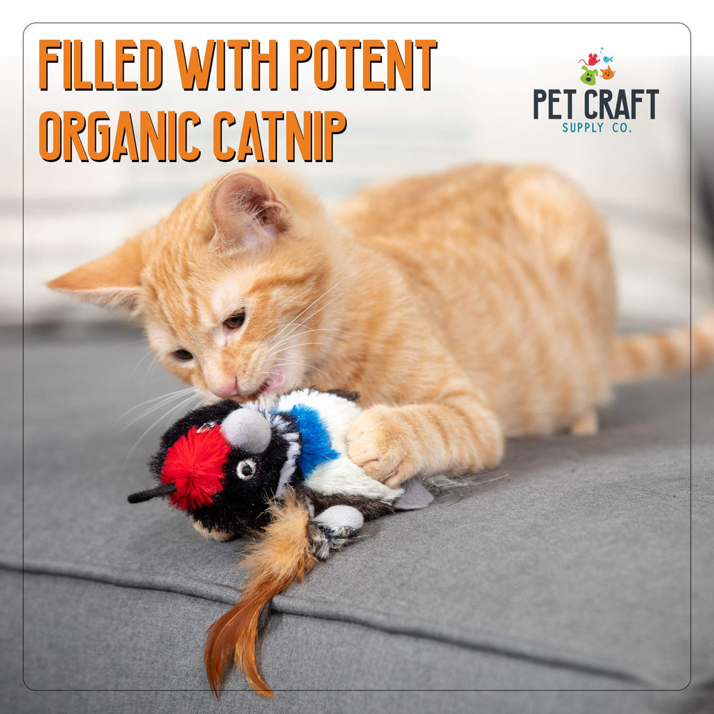 Kitty Condor ensemble de deux jouets pour chats.