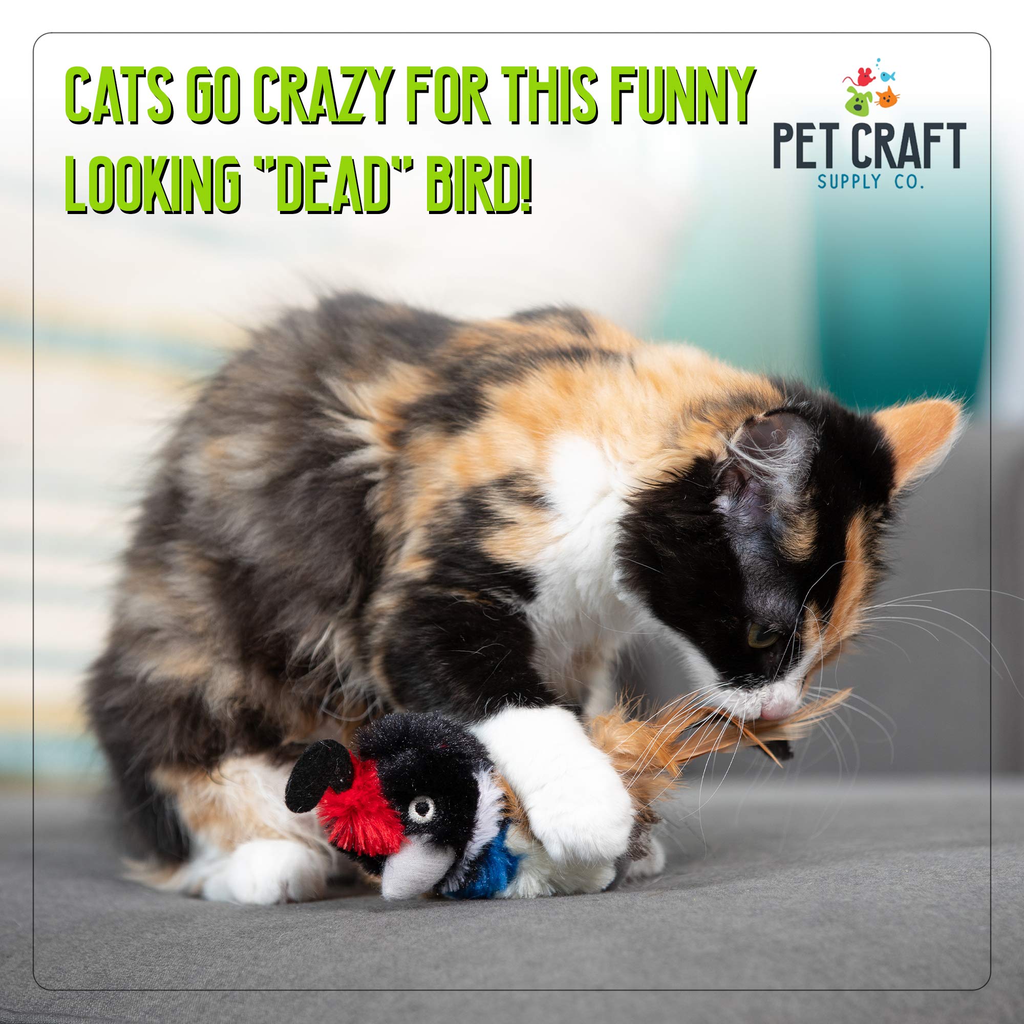 Jouet Kitty Condor peluche et plumes pour chasse et stimulation mentale.