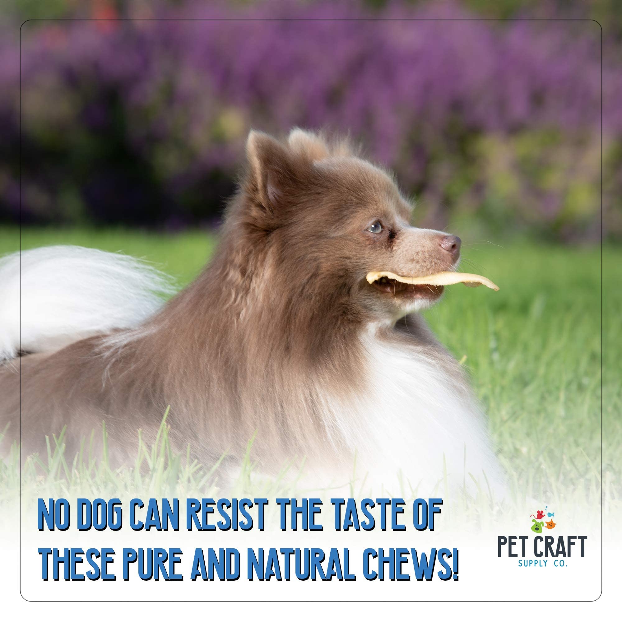 Produit certifié Pet Craft Supply, oreilles buffle d'eau sûres.