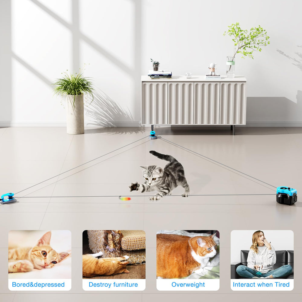 Pet Deluxe accessoires DIY plumes pour personnaliser le jeu.