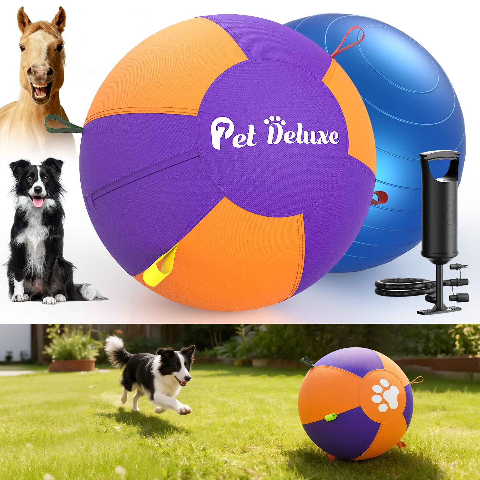 Pet Deluxe balle herd ing 18 pouces en action dans le jardin