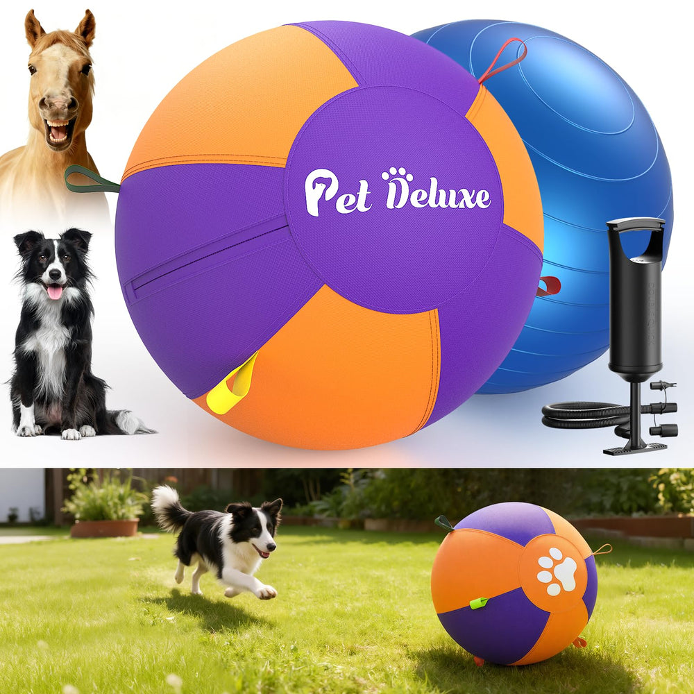 Pet Deluxe balle herd ing 18 pouces en action dans le jardin