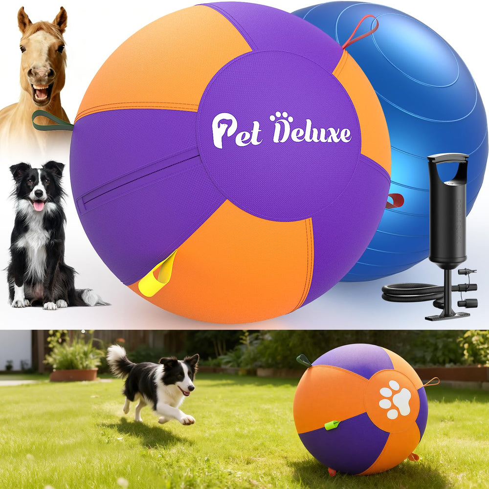 Pet Deluxe ballon-herding 25-pouces pour stimuler l’instinct de poursuite.