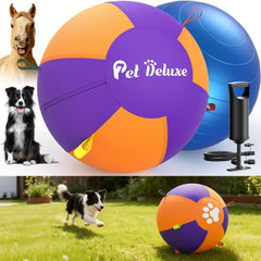Pet Deluxe ballon-herding 25-pouces pour stimuler l’instinct de poursuite.