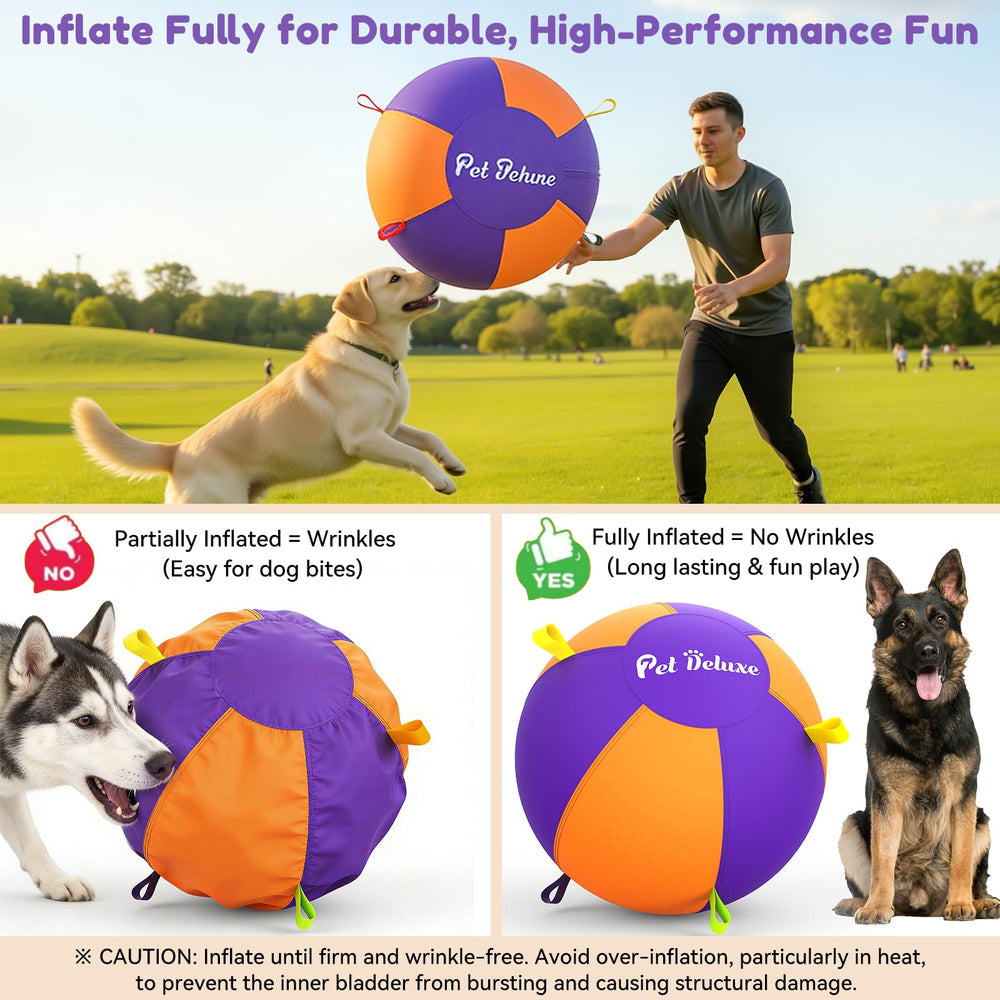 Pet Deluxe poignees-colorées-6 offrent une prise facile pour lancer et attraper.