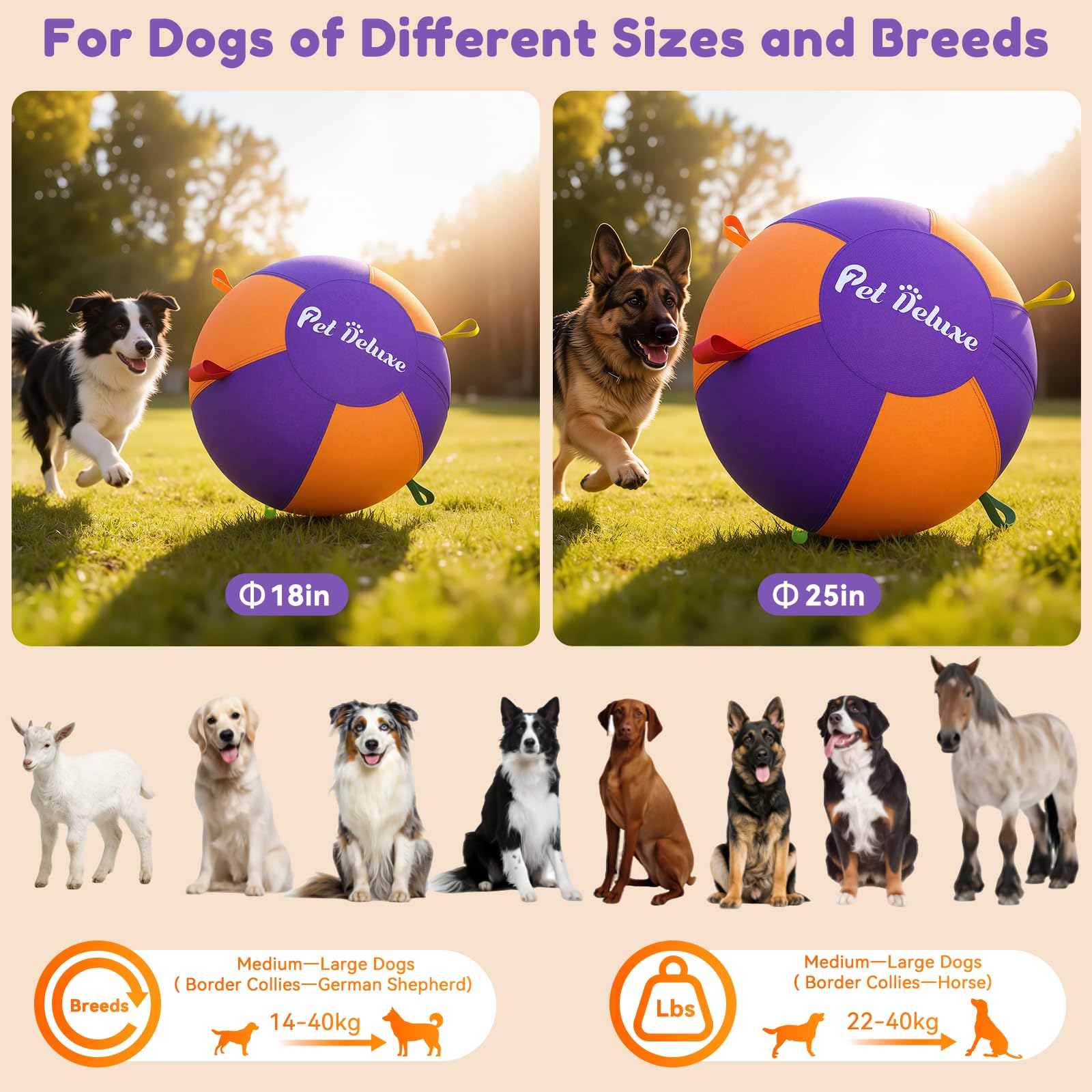 Revêtement Oxford durable de Pet Deluxe prêt pour des sessions intenses