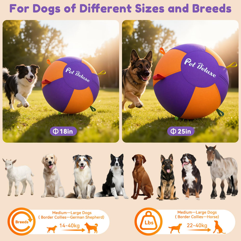 Revêtement Oxford durable de Pet Deluxe prêt pour des sessions intenses