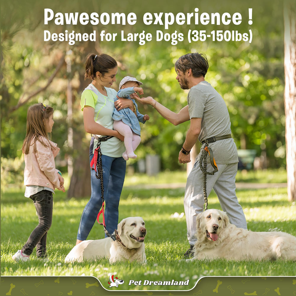 Pet Dreamland Ceinture-laisse-taille-grande parfaite pour promenades quotidiennes.
