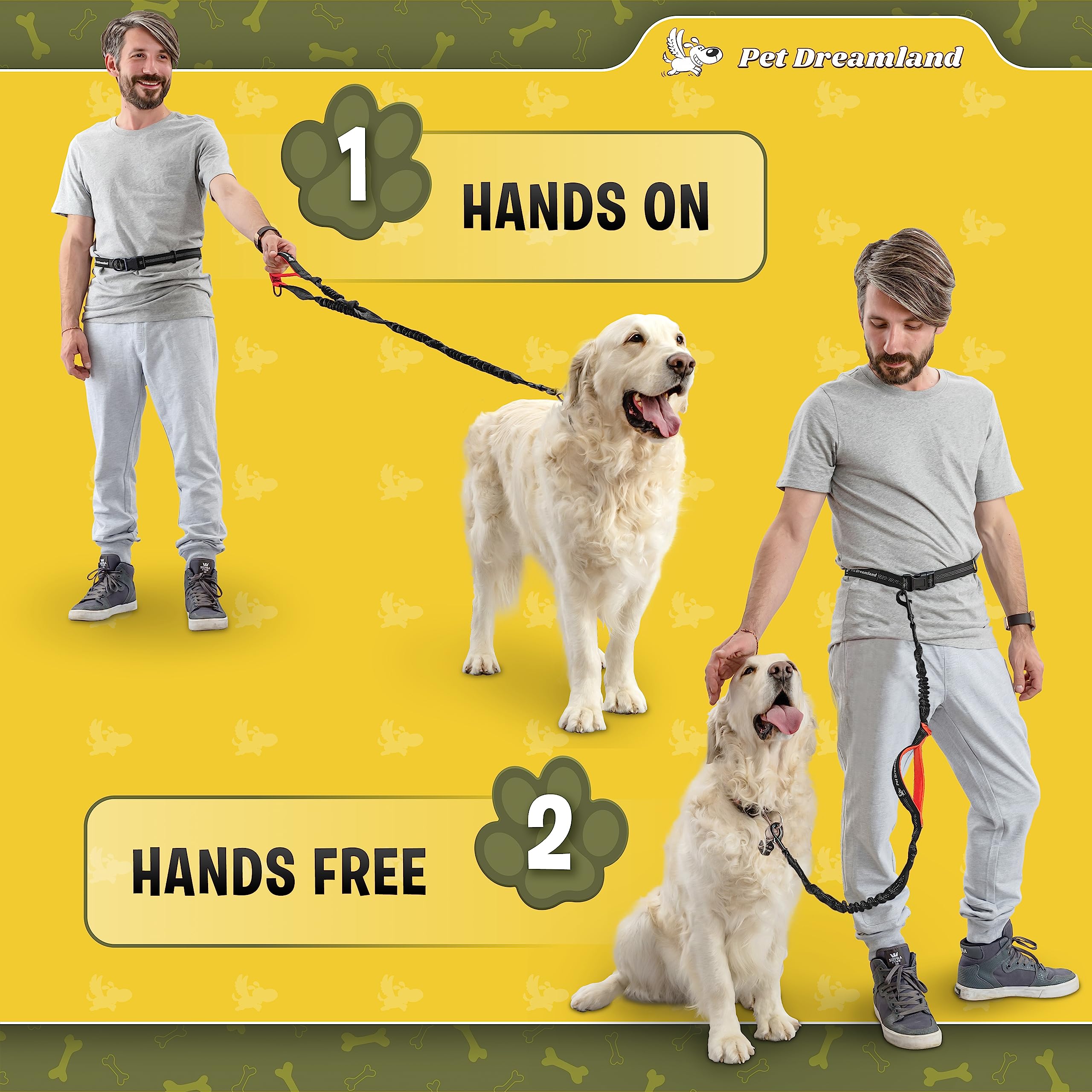 Pet Dreamland Laisse-hiver-aventures idéale pour les activités hivernales avec chien.