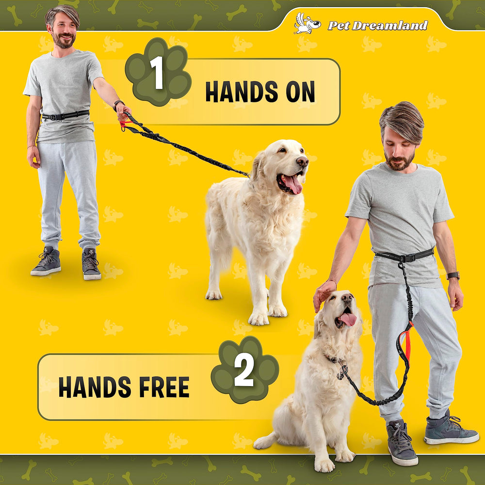 Pet Dreamland Laisse-hiver-aventures idéale pour les activités hivernales avec chien.