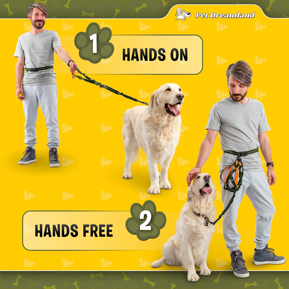 Pet Dreamland – ceinture confortable adaptée à toutes les sorties.