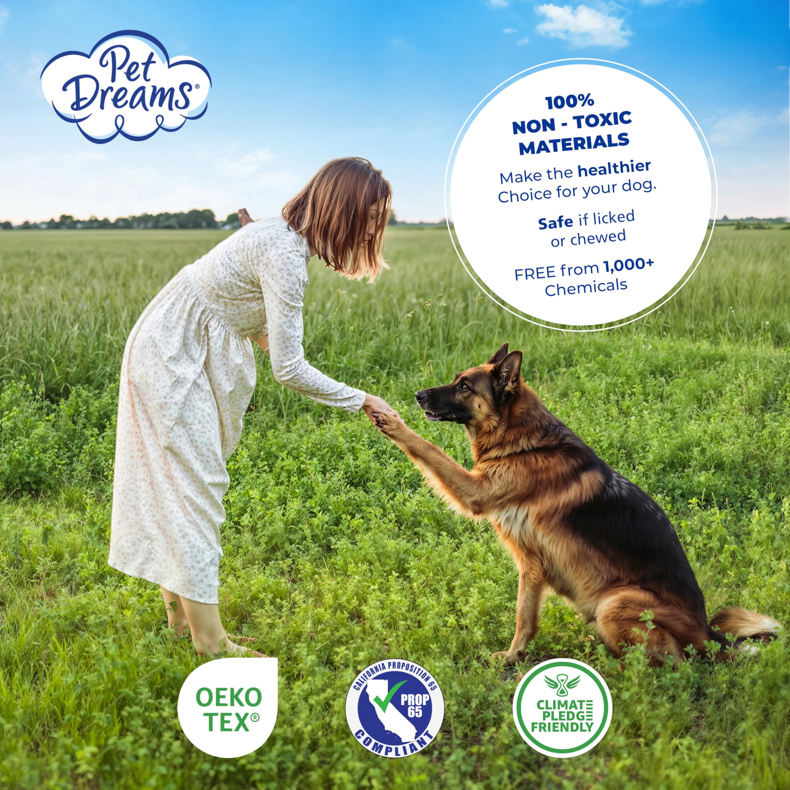 Pet Dreams coussin de caisse prêt pour voyage – facile à emporter