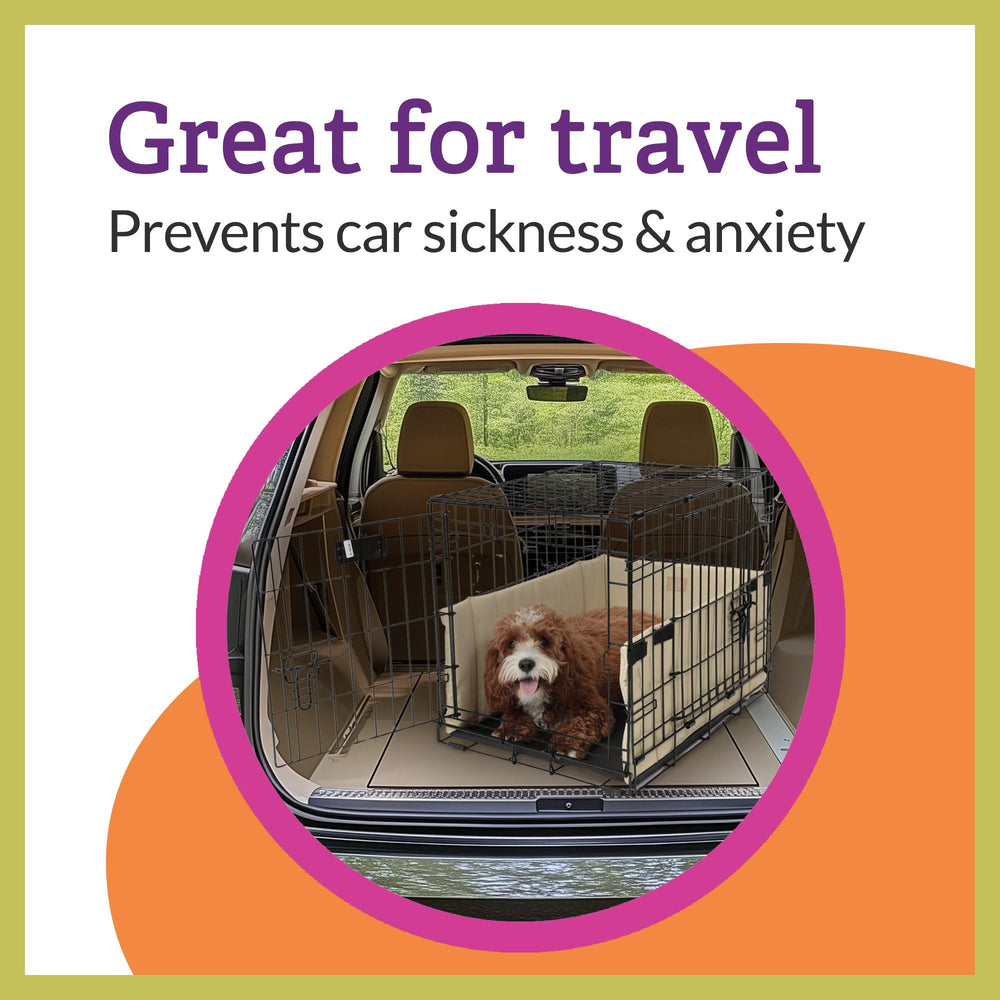 Pet Dreams Crate Bumper – idéal pour les trajets en voiture et le voyage.