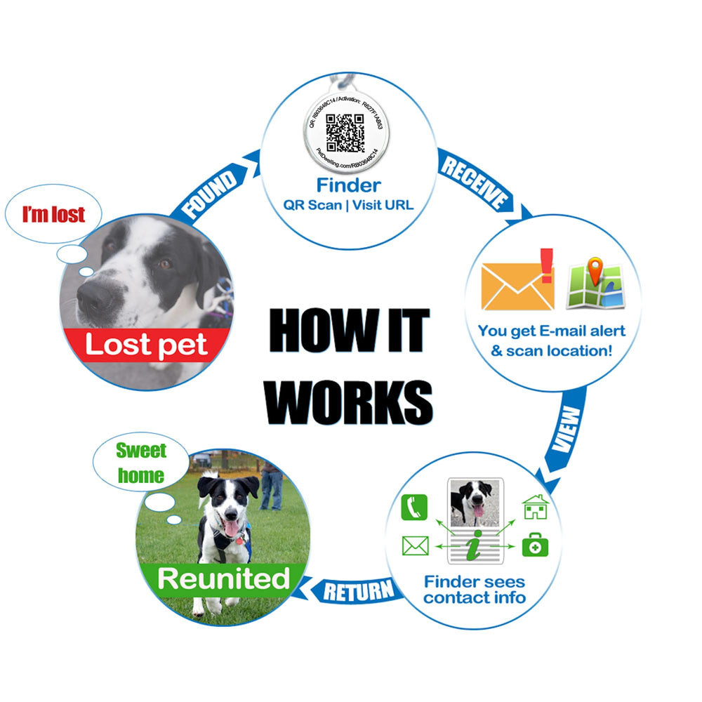 Pet Dwelling – Tag QR sur collier chat, récupération facile en cas de fugue.