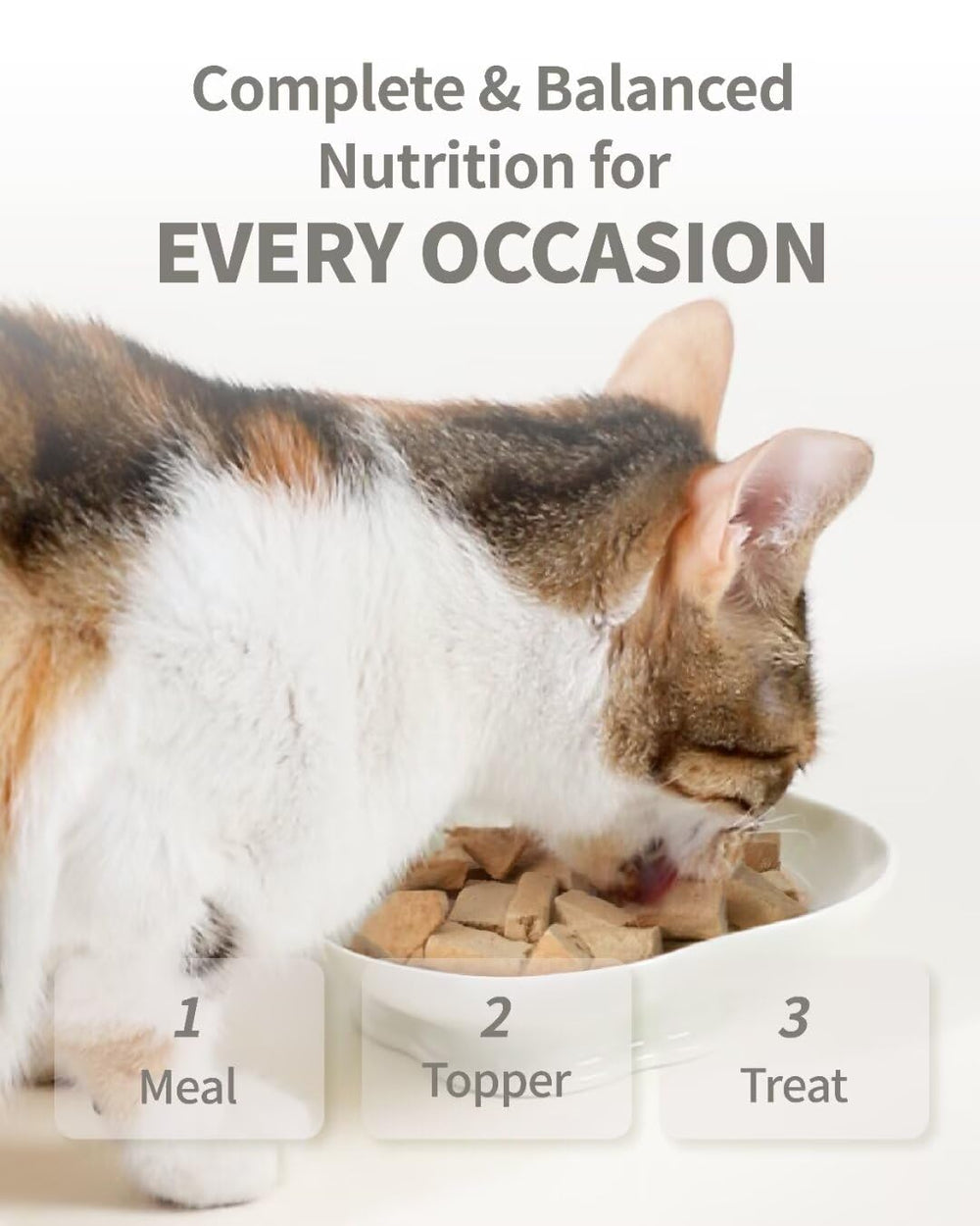 PureFeast lyophilise: nutriments preserves sans chaleur.