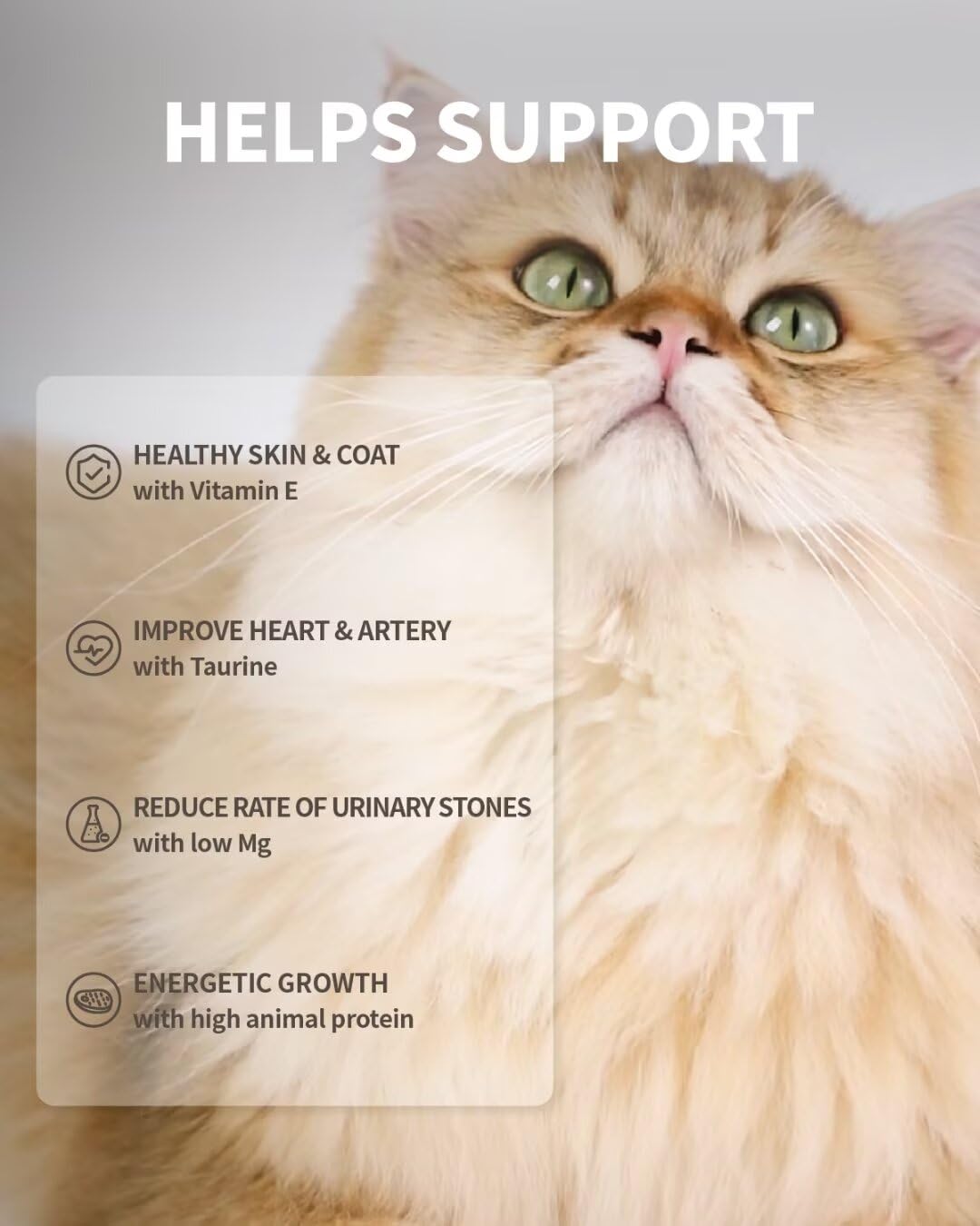 PureFeast apporte taurine et vitamines pour pelage et peau.