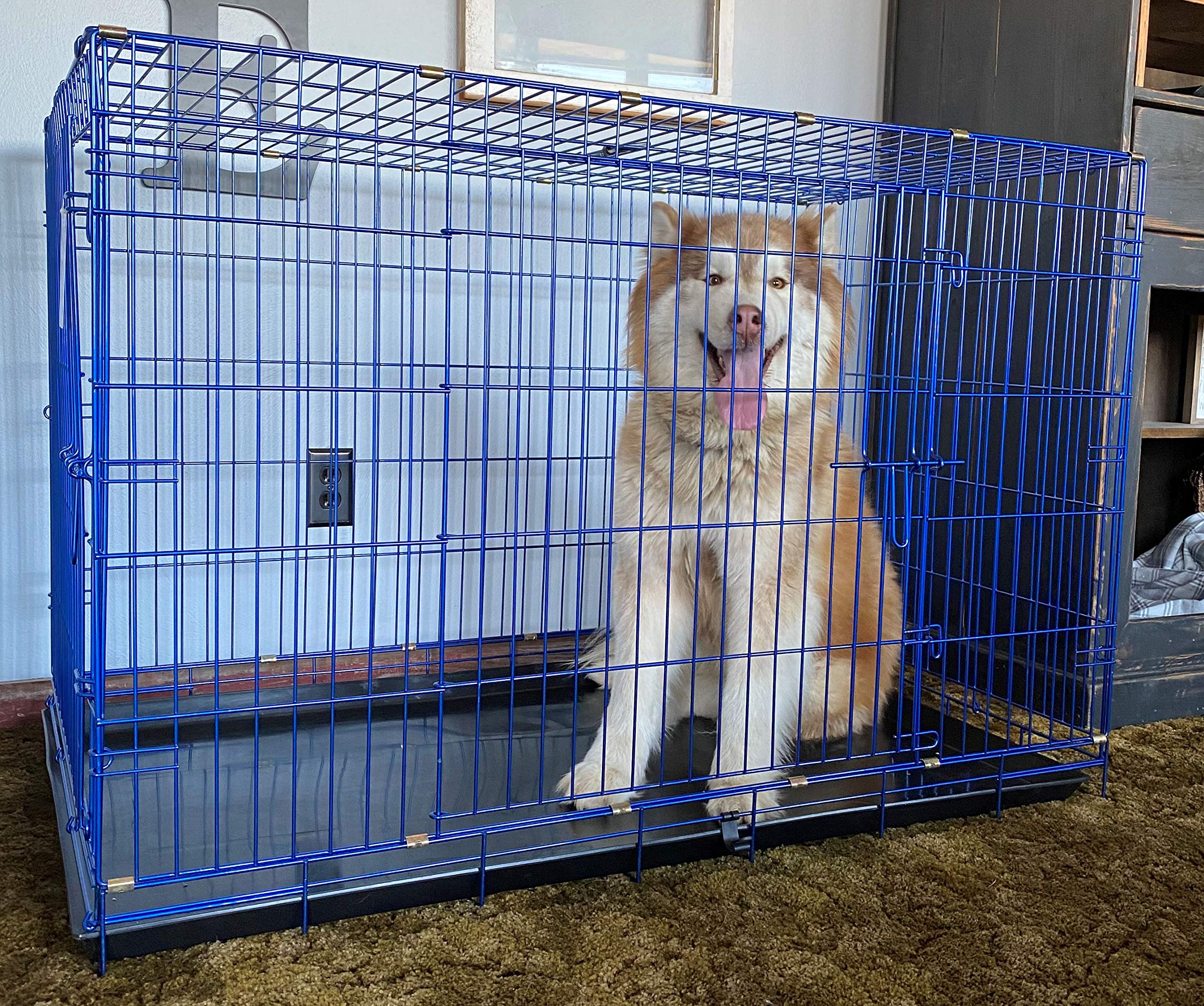Porte frontale et latérale PET Expressions, accès rapide et sécurité renforcée.