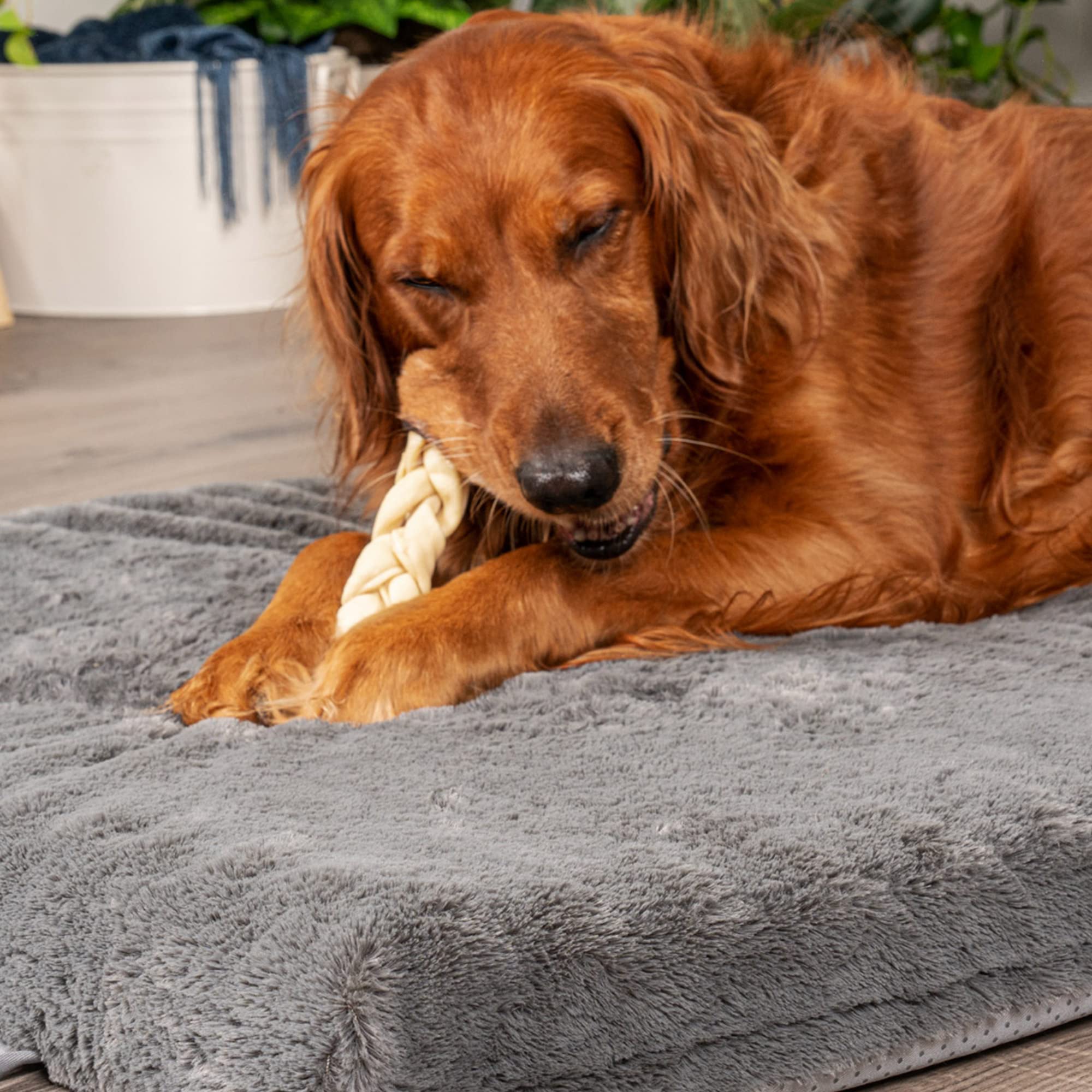 Pet Factory CareChewz baton-braide-collagene-boeuf, 15 morceaux, alternative saine a la mastication.